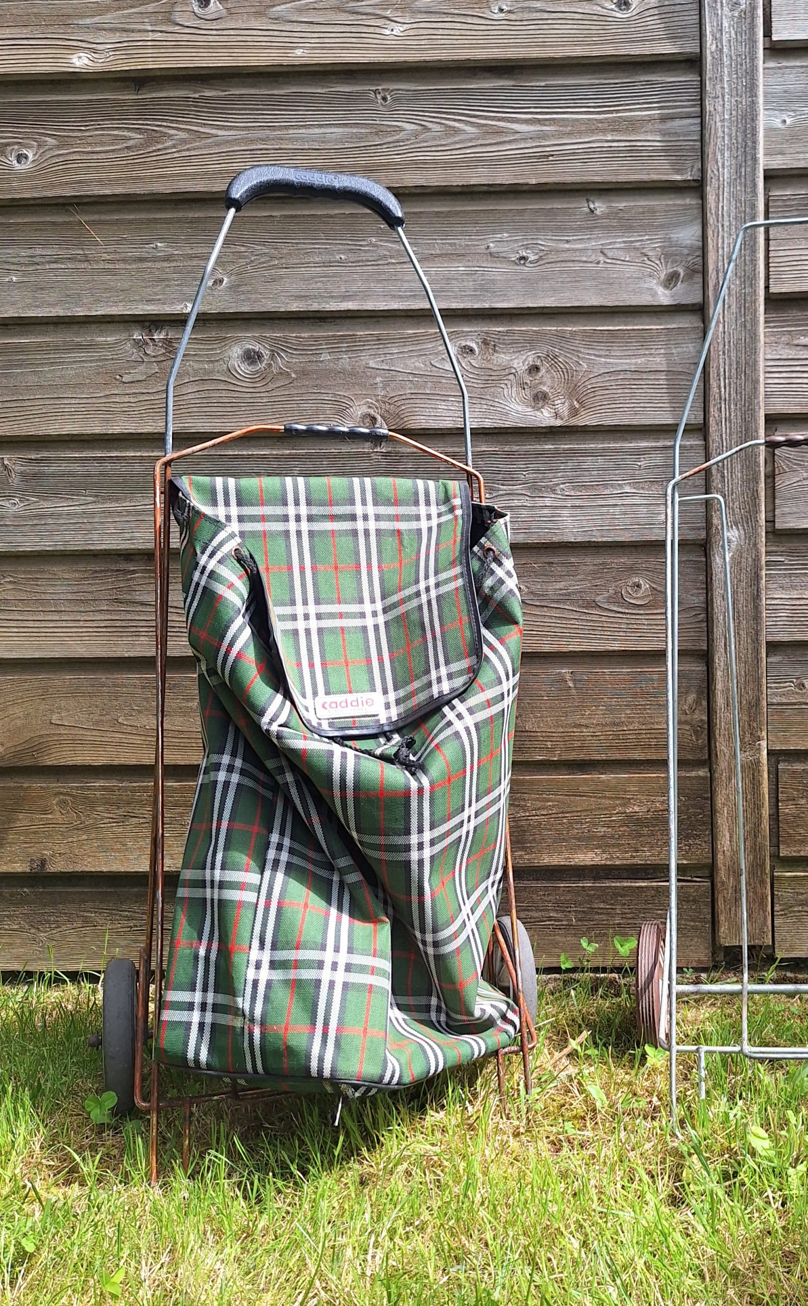 Caddie Citrons – Image 10