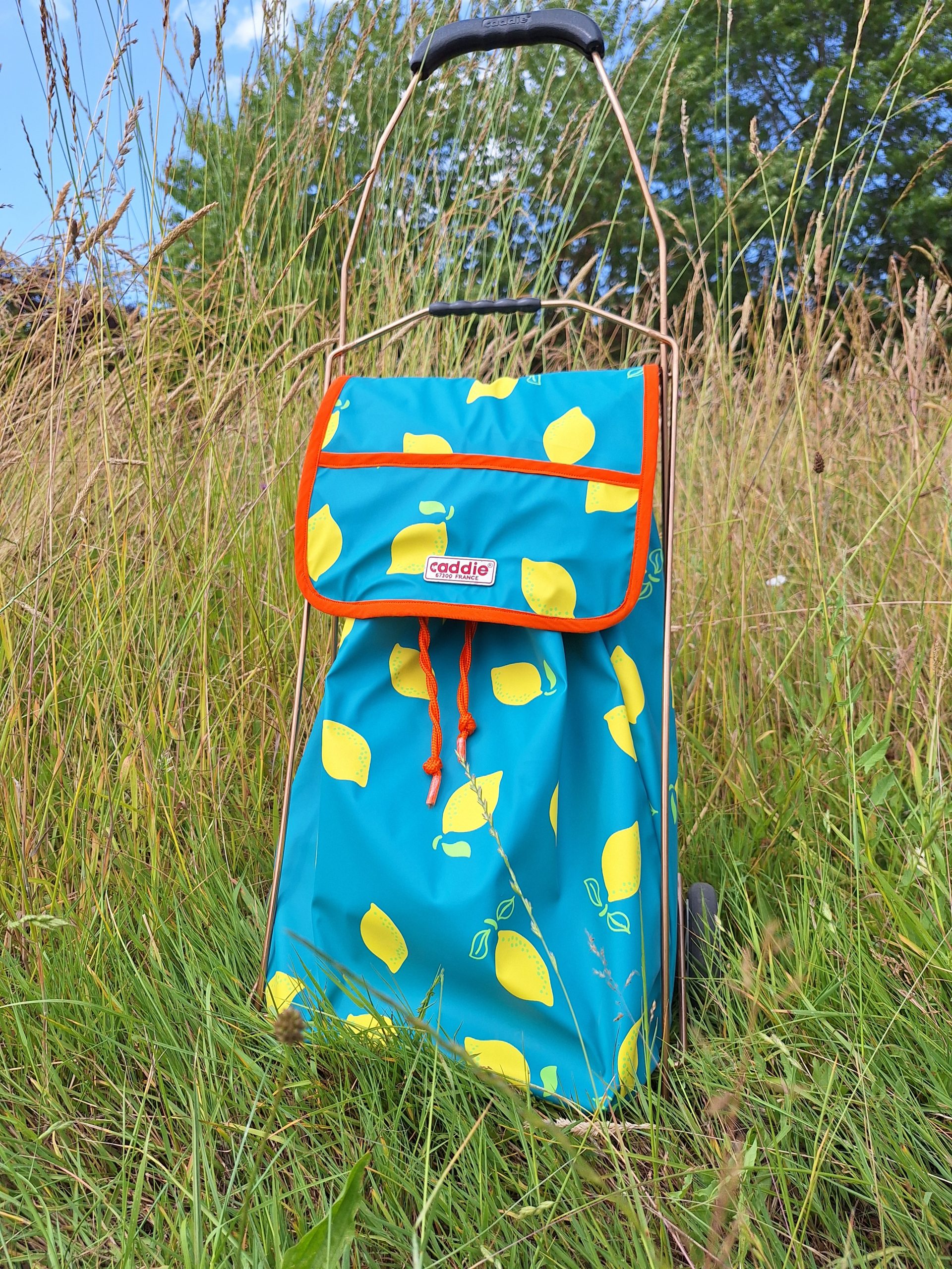 Caddie Citrons – Image 4