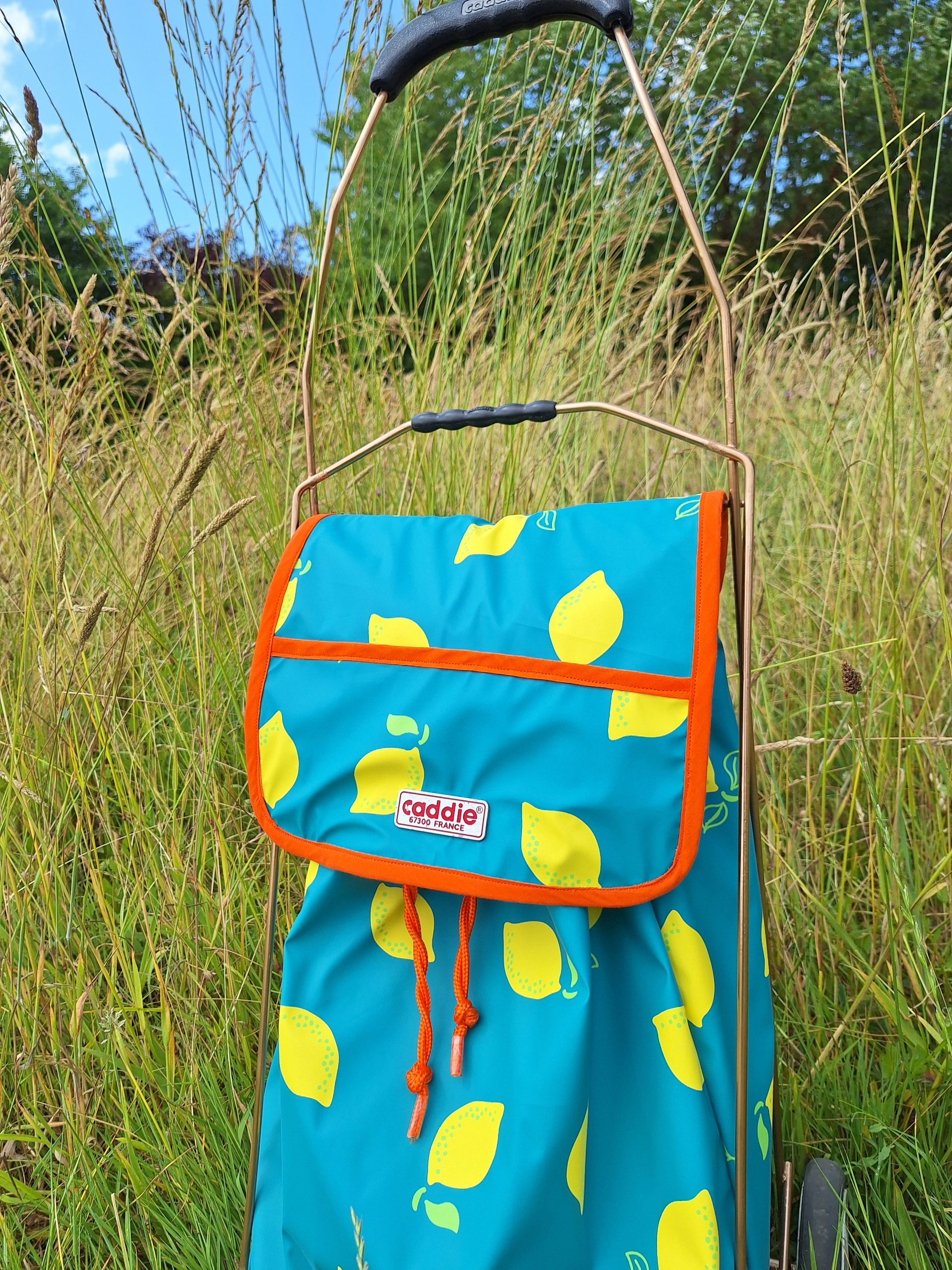 Caddie Citrons – Image 5