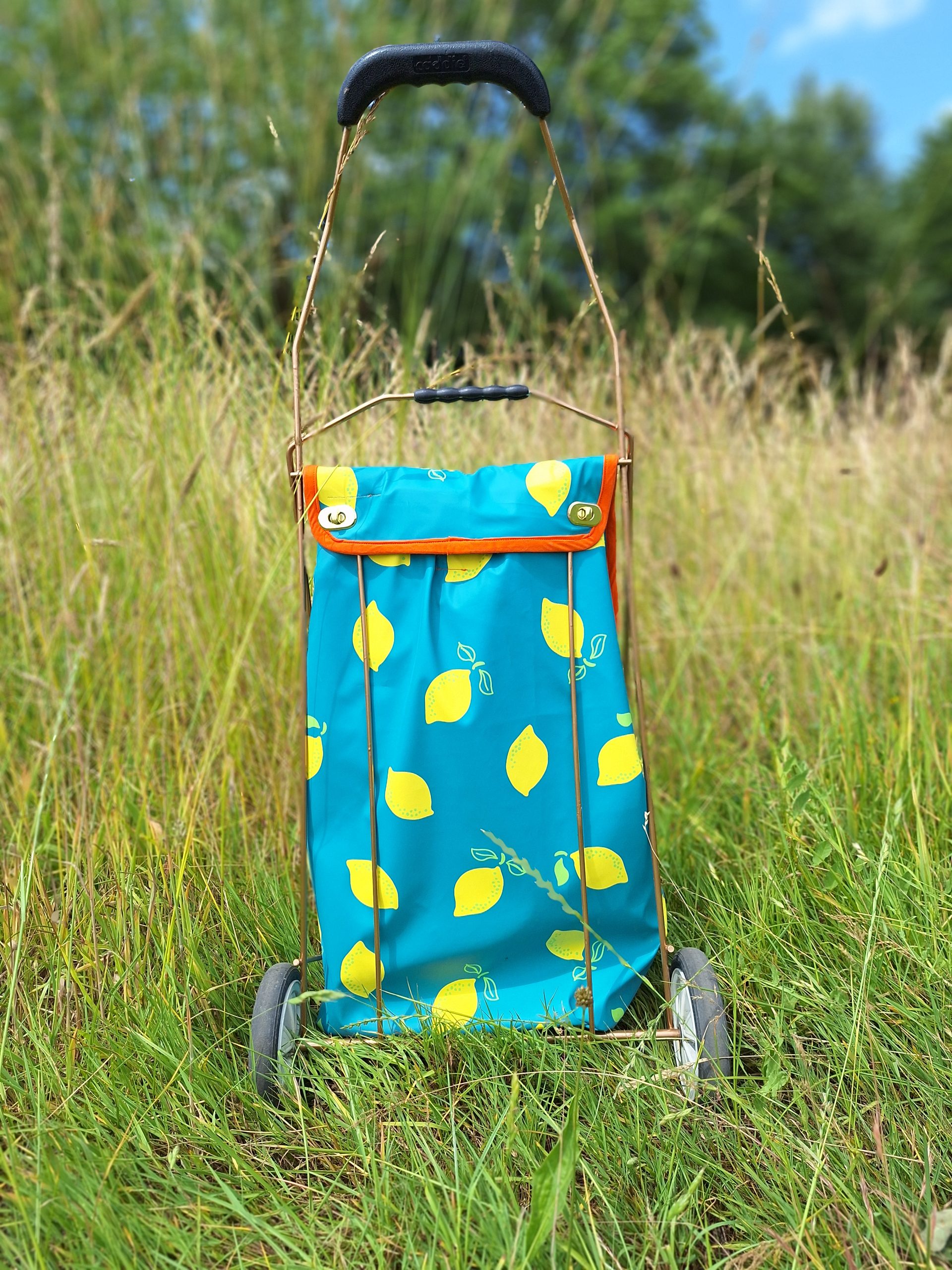 Caddie Citrons – Image 7