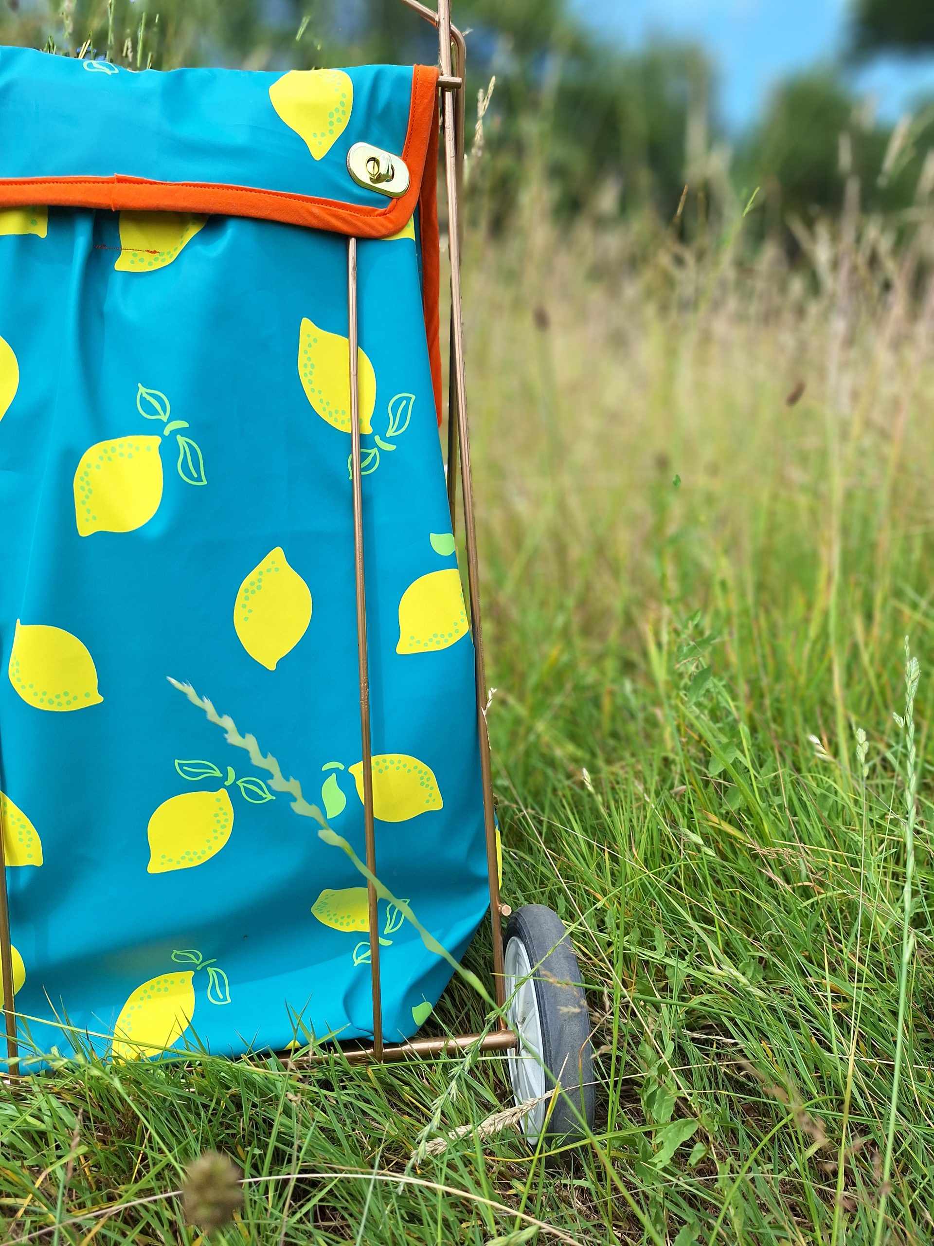 Caddie Citrons – Image 8