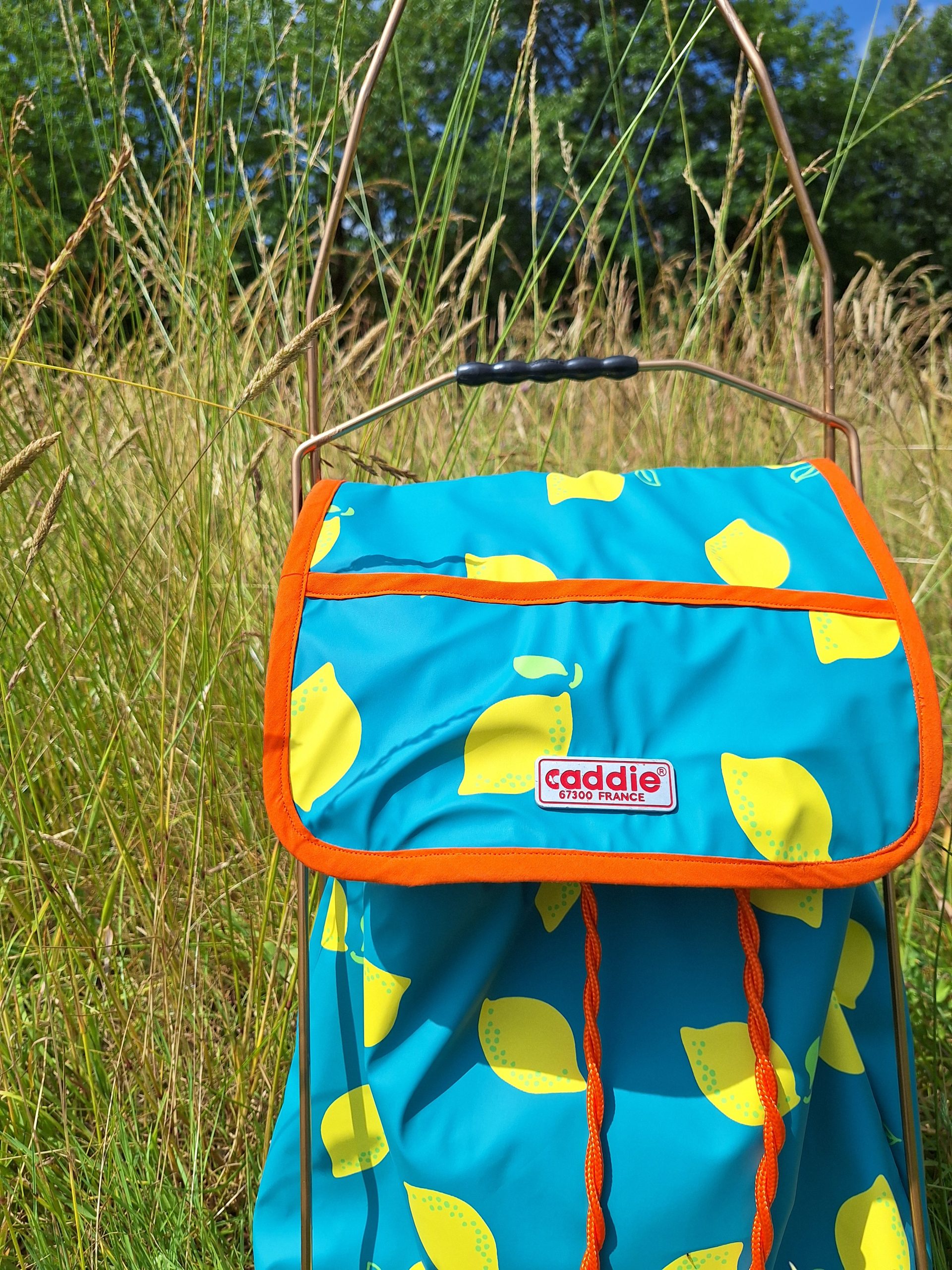 Caddie Citrons – Image 2