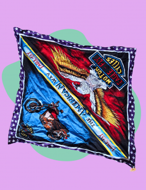 Foulard moto aigle